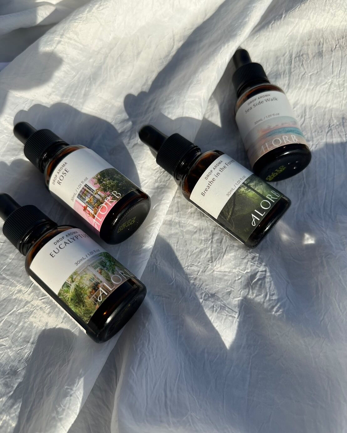 ALORB  spa 