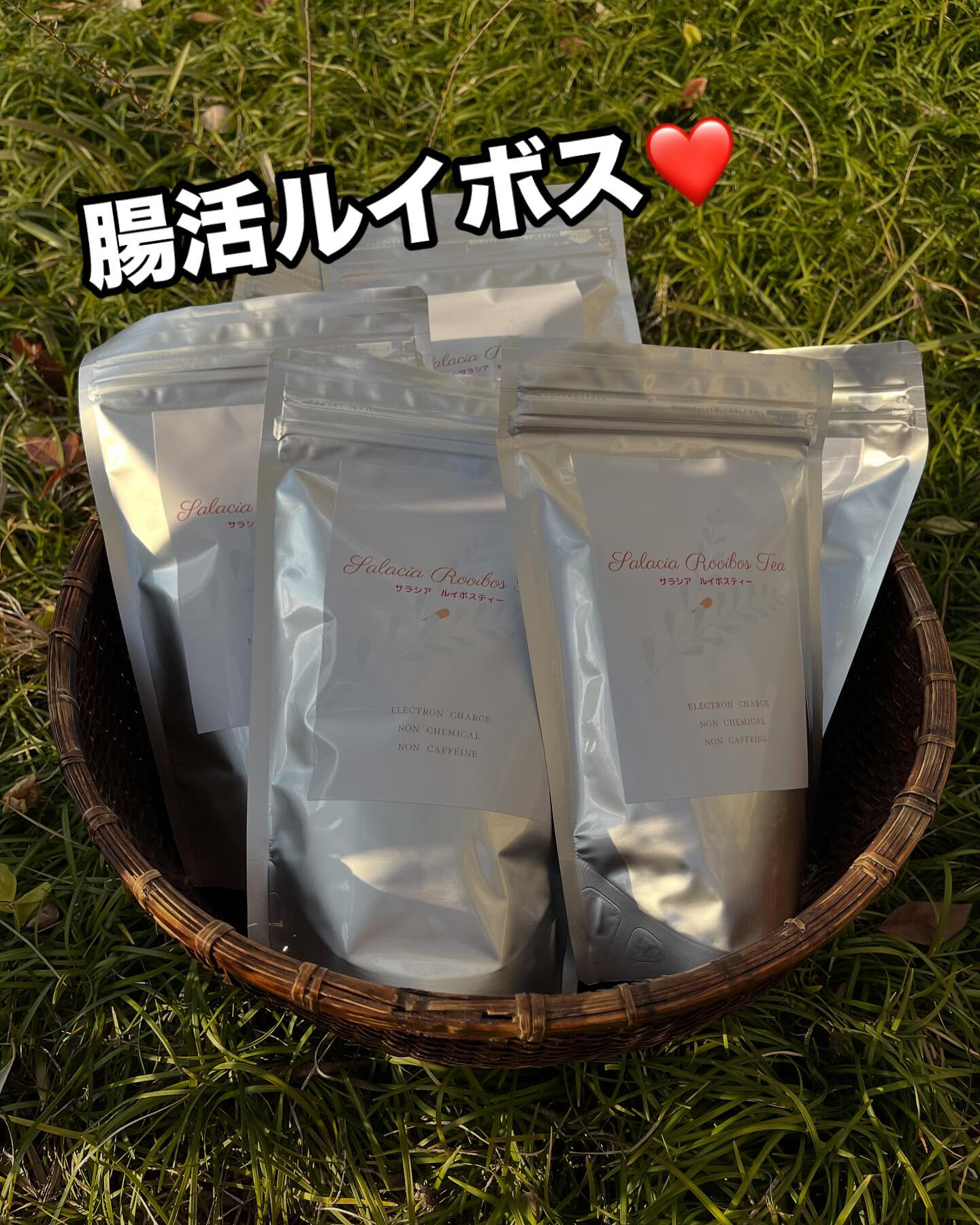 手軽に腸活❤