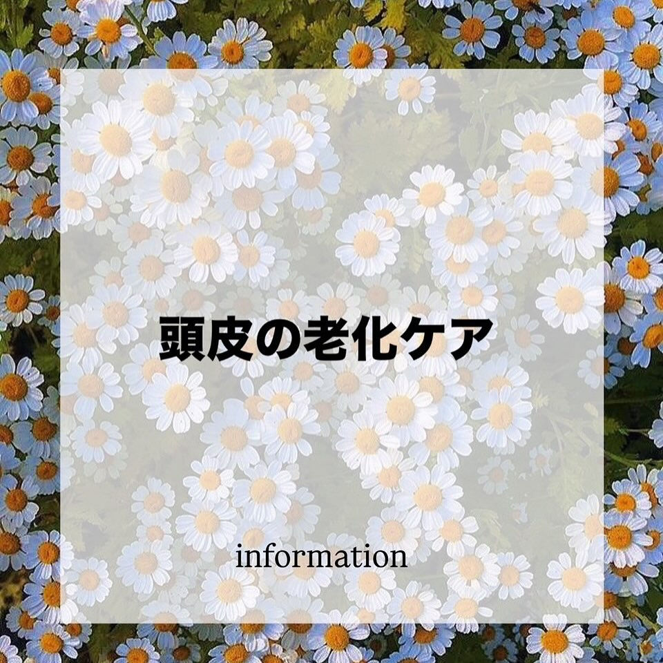 こんばんは💫