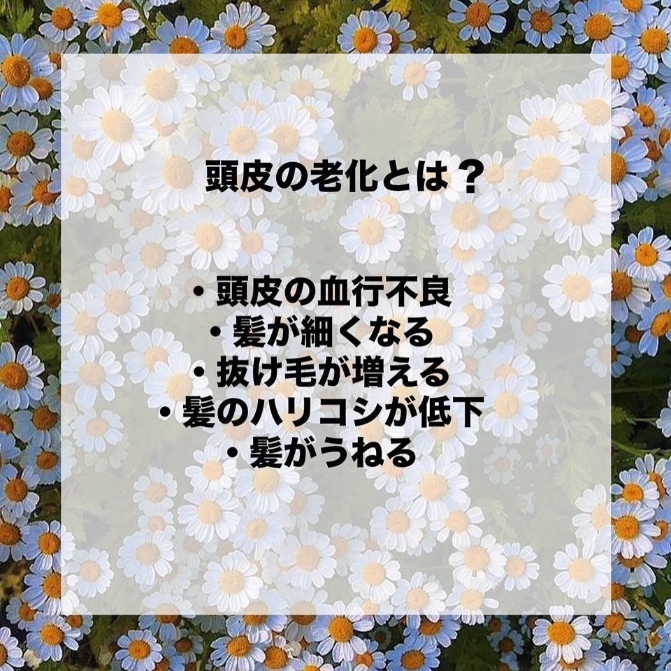 こんばんは💫