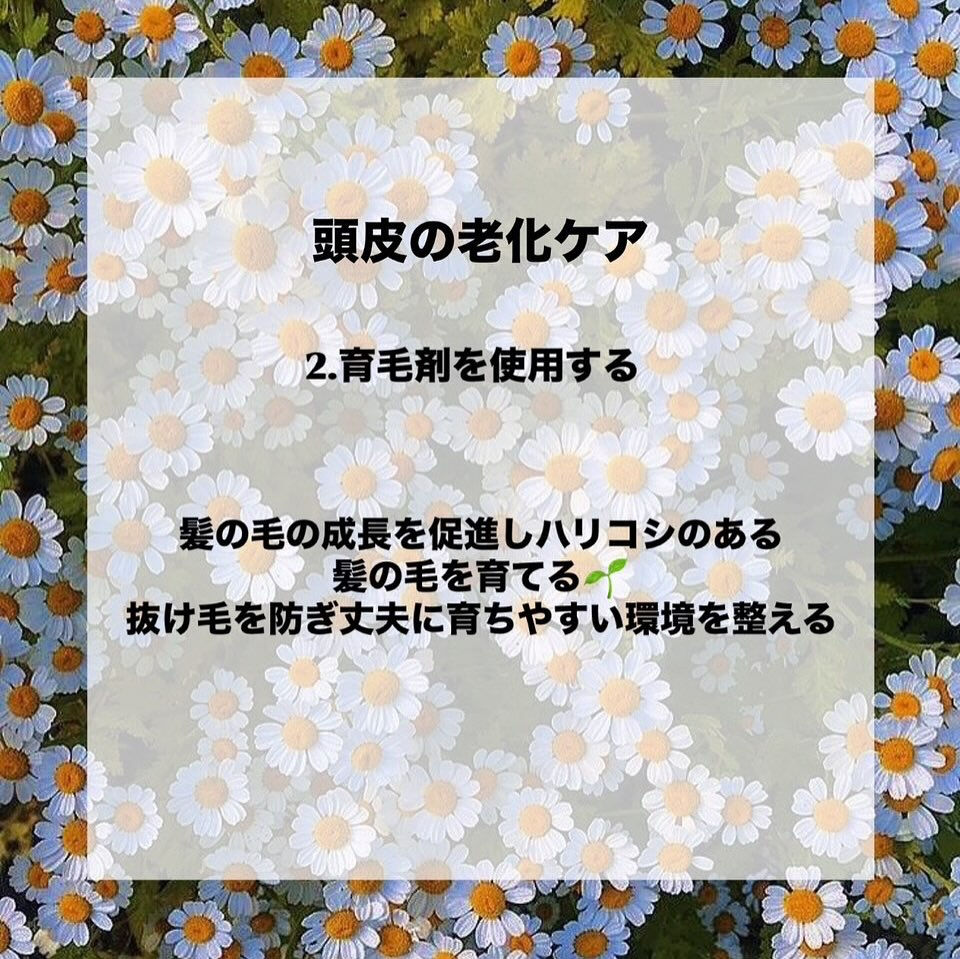 こんばんは💫