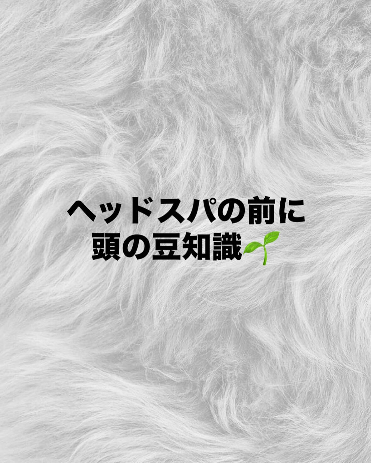 頭の豆知識✨️