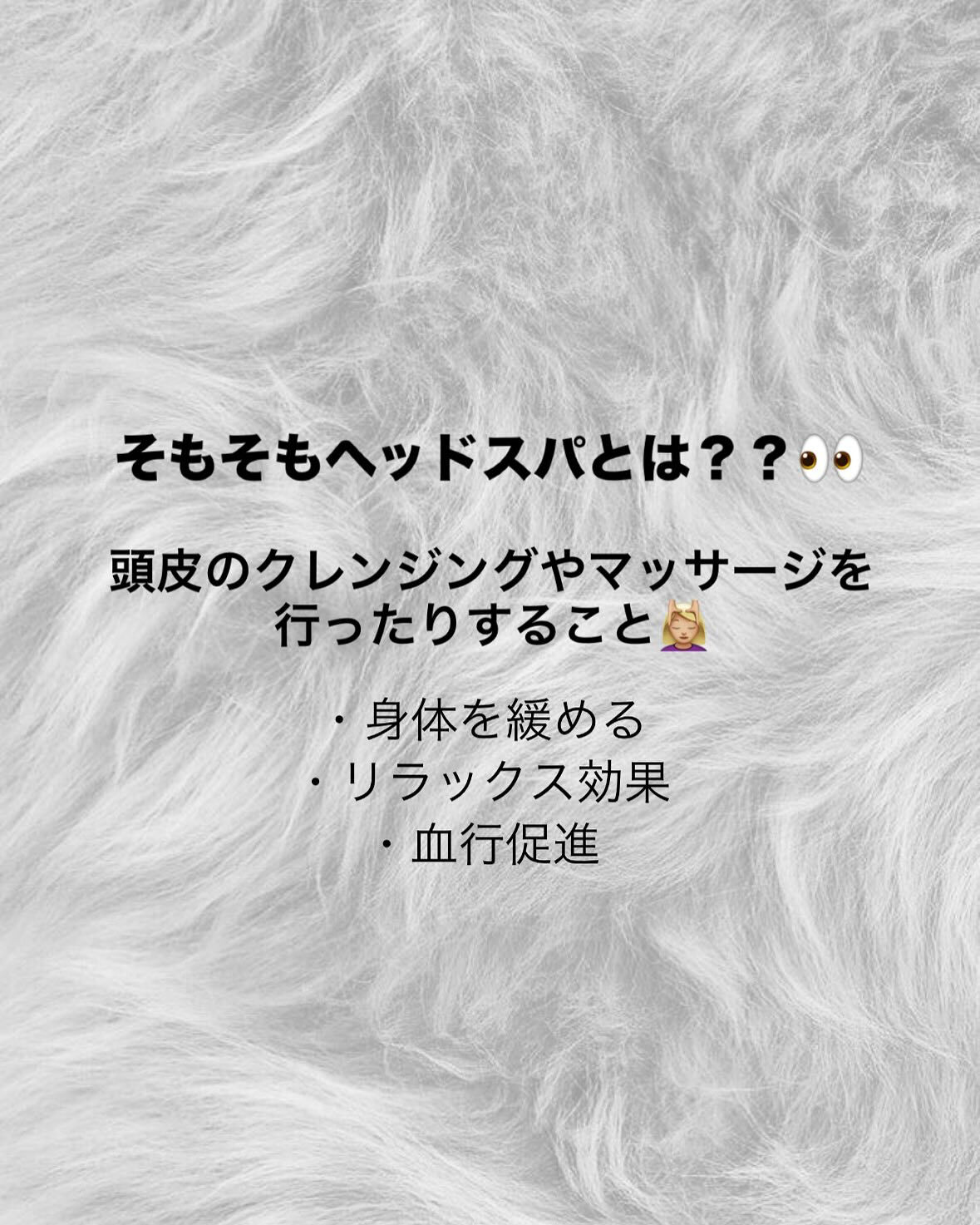 頭の豆知識✨️