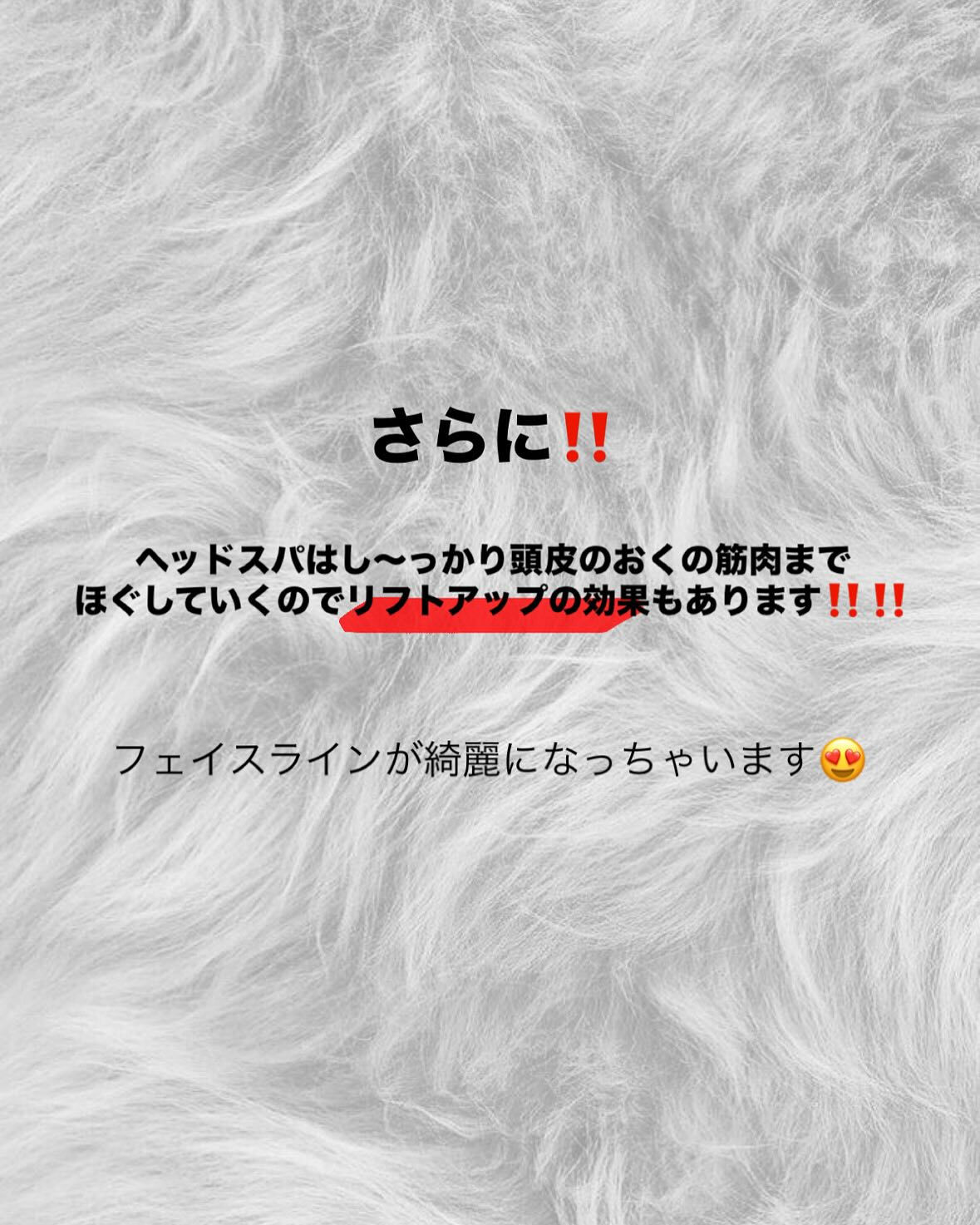 頭の豆知識✨️