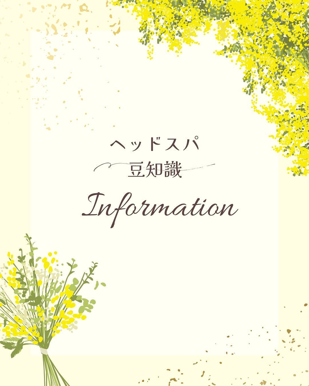 こんばんは✨