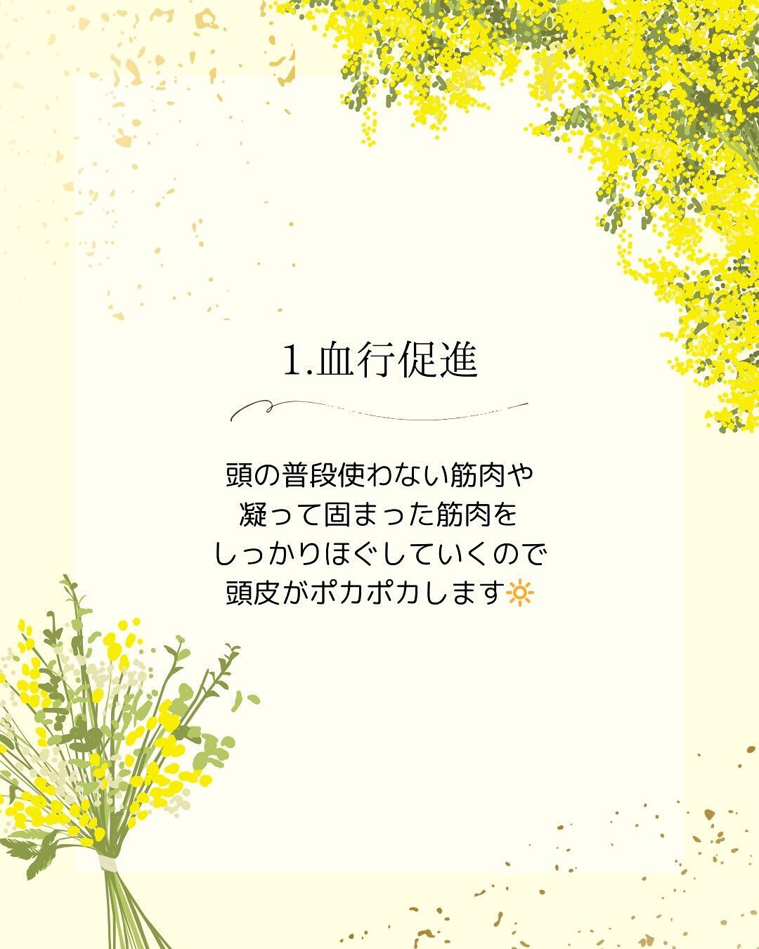 こんばんは✨