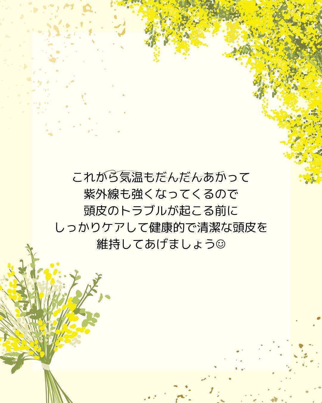こんばんは✨