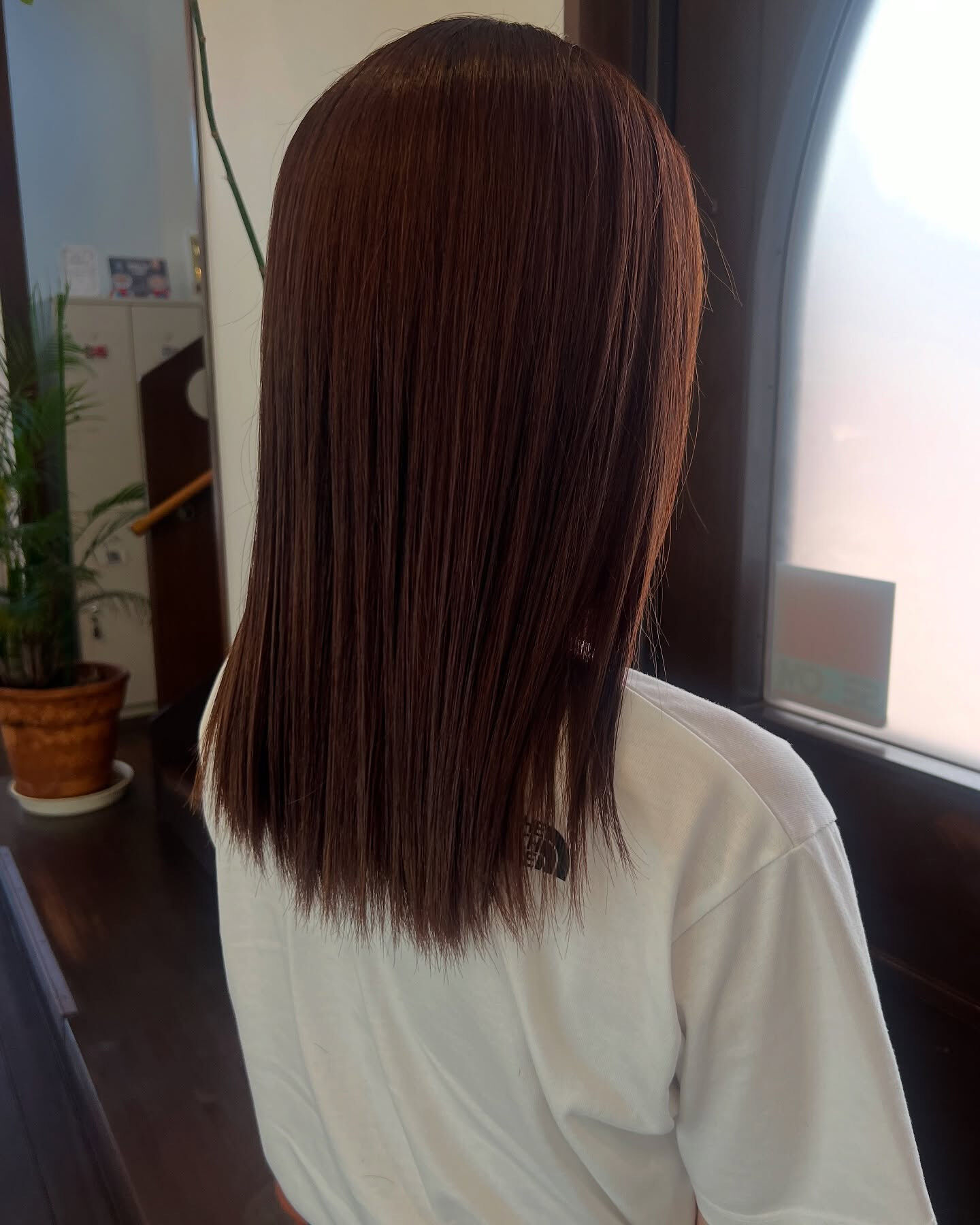 brown color🤎