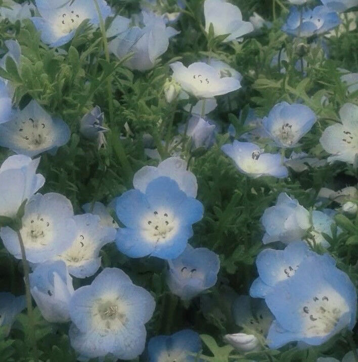 今週のスタイリスト アシスタントのお休み🌿