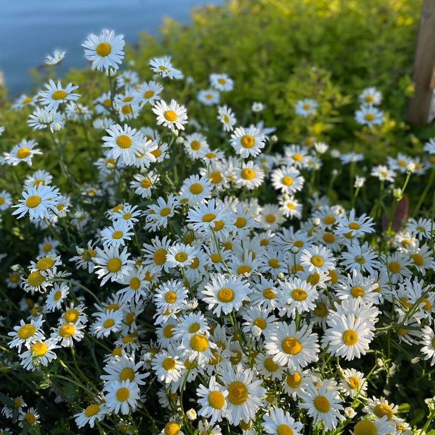 今週のスタイリスト アシスタントのお休み🌿
