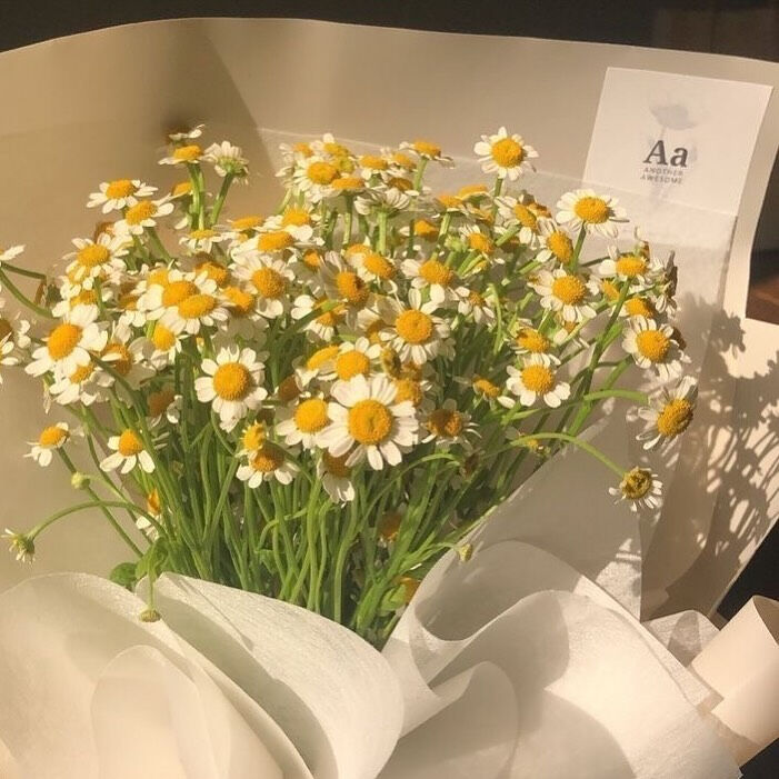 今週のスタイリスト アシスタントのお休み🌿