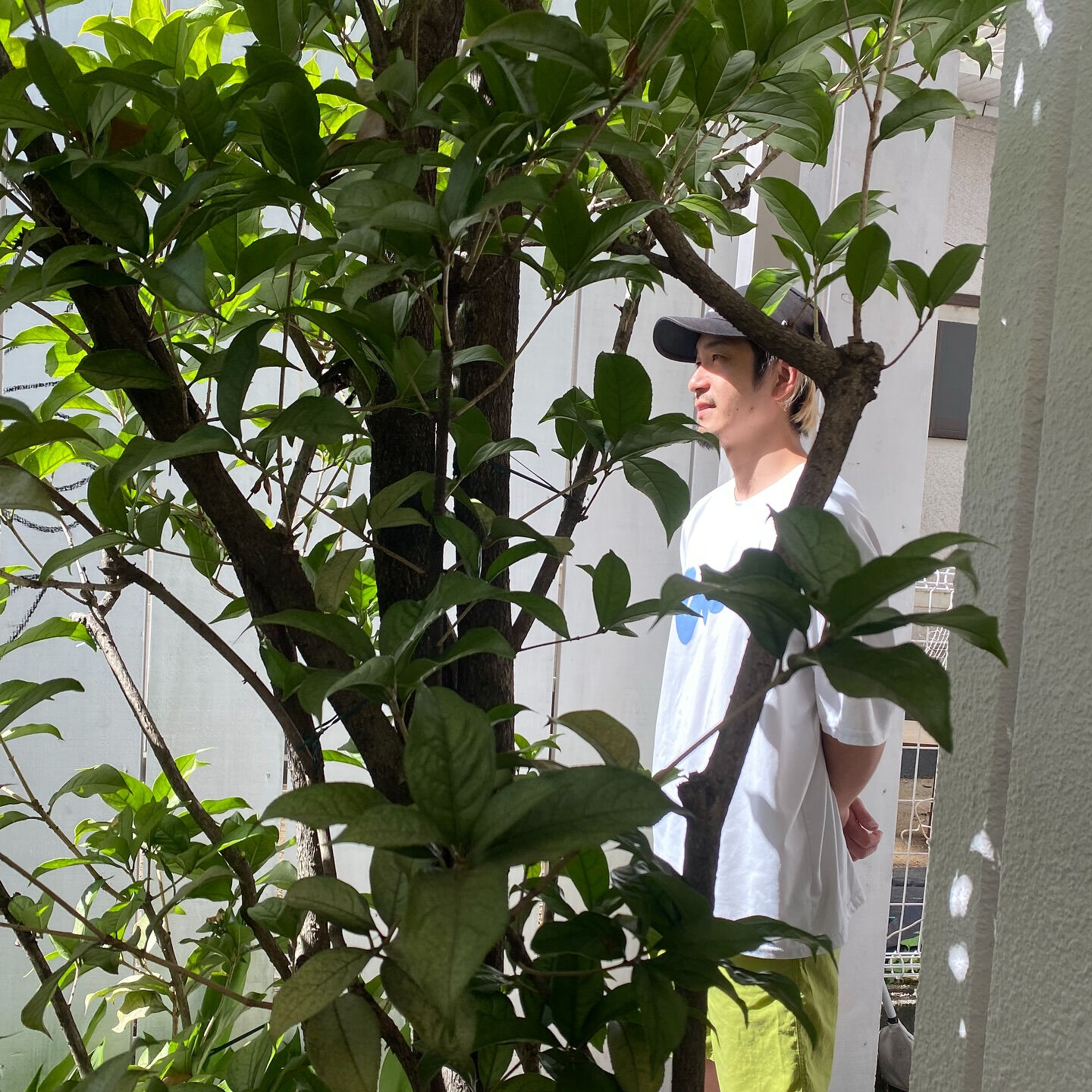 ・