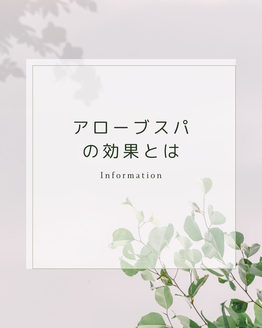 こんにちは🌞