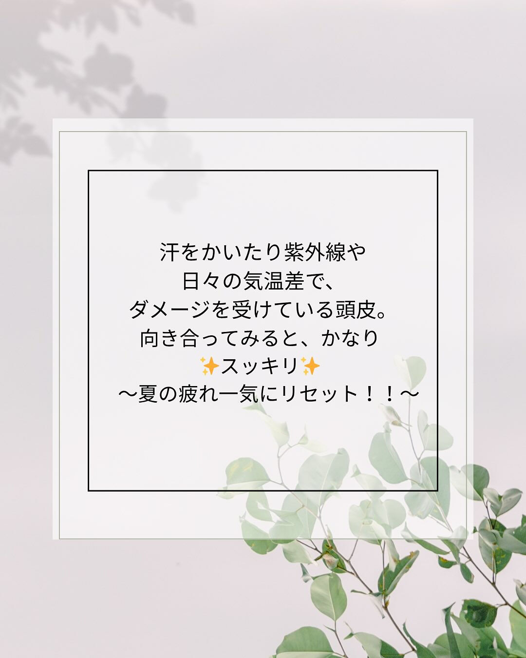 こんにちは🌞