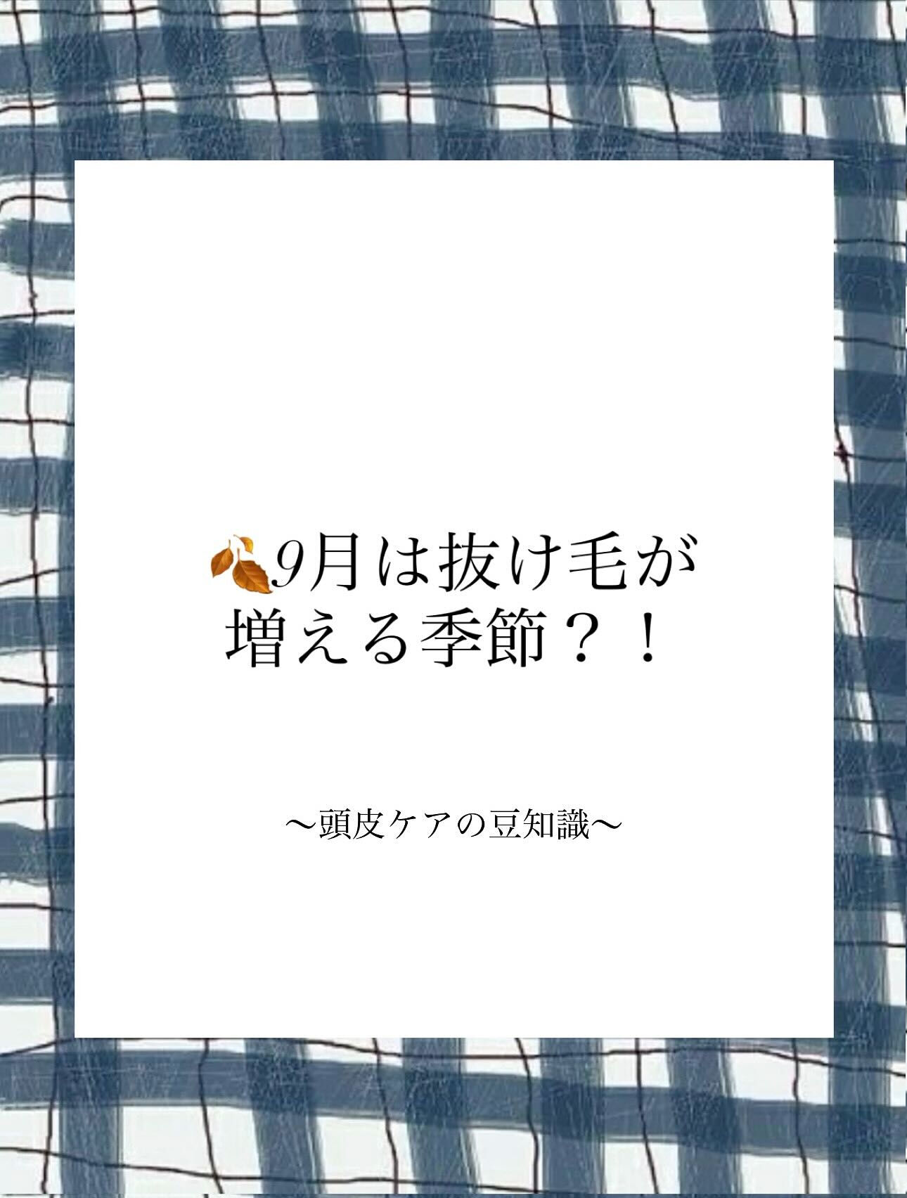 9月の頭皮豆知識🍁🍂