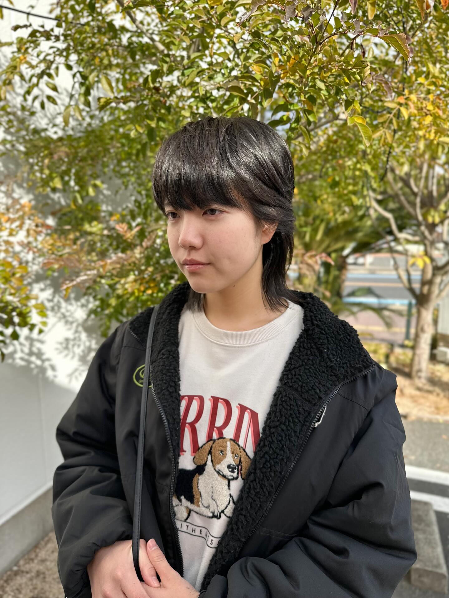 【ショートウルフ】