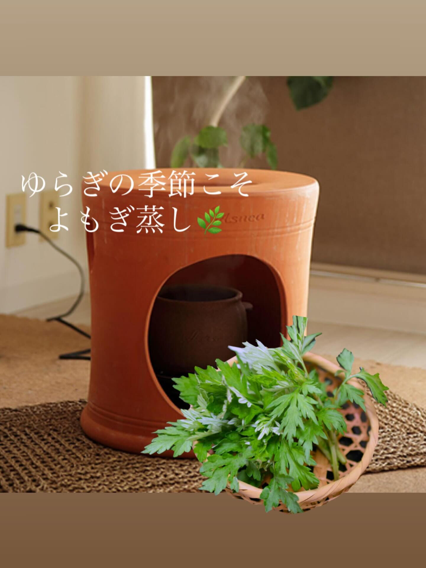だんだんと春の陽気を感じるようになってきましたね🌸